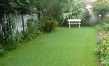 Lakeside Landscaping Co Lawn and Turf