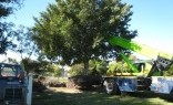 Take It Outside Landscape Construction Tree Management Services