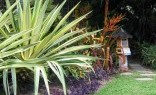 Maex All in One Landscaping Tropical Landscaping